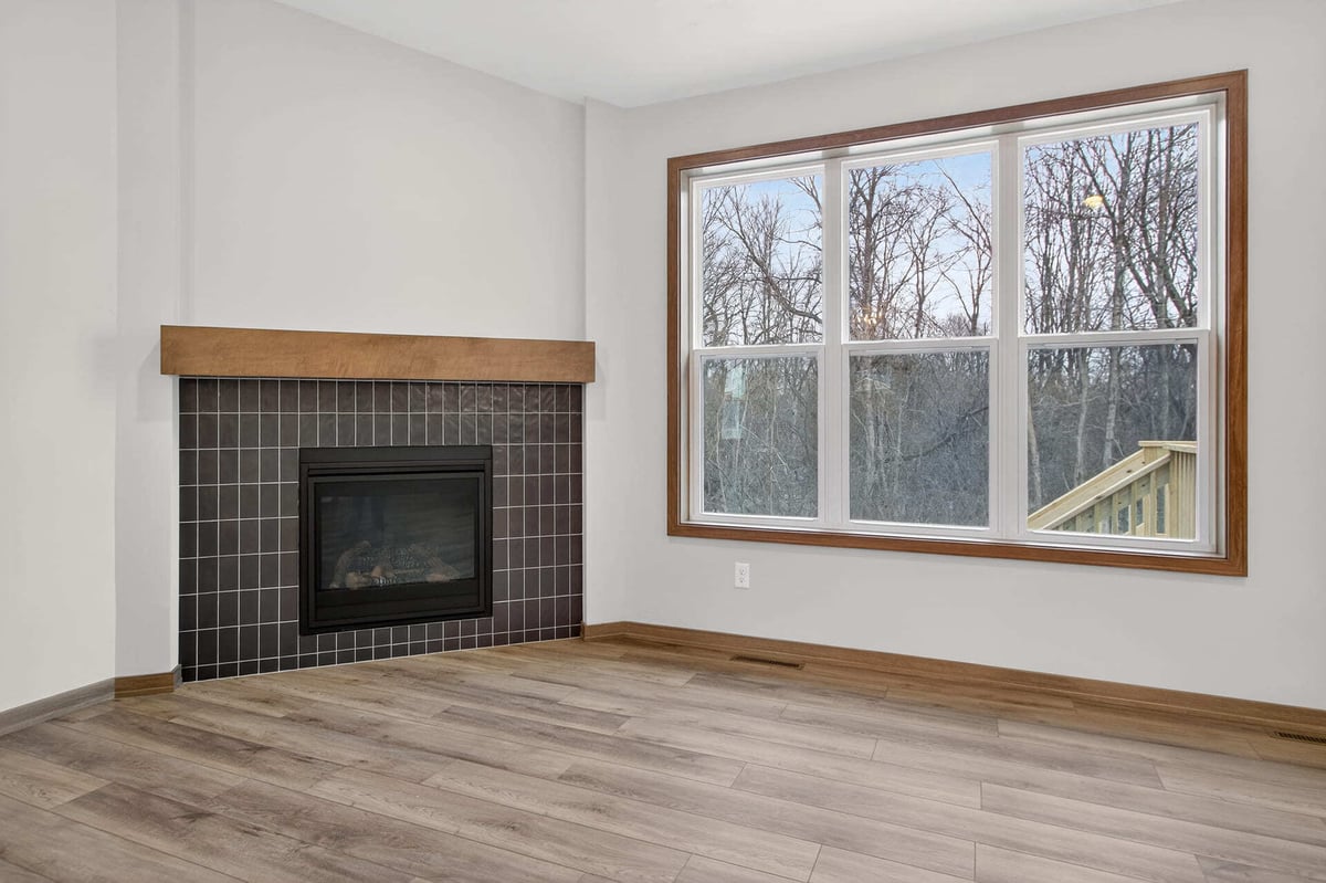 Living Fireplace and window