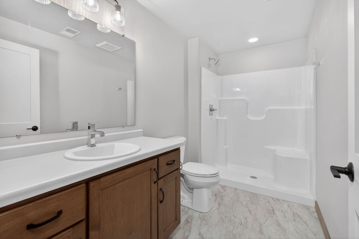 Lower Level Bathroom