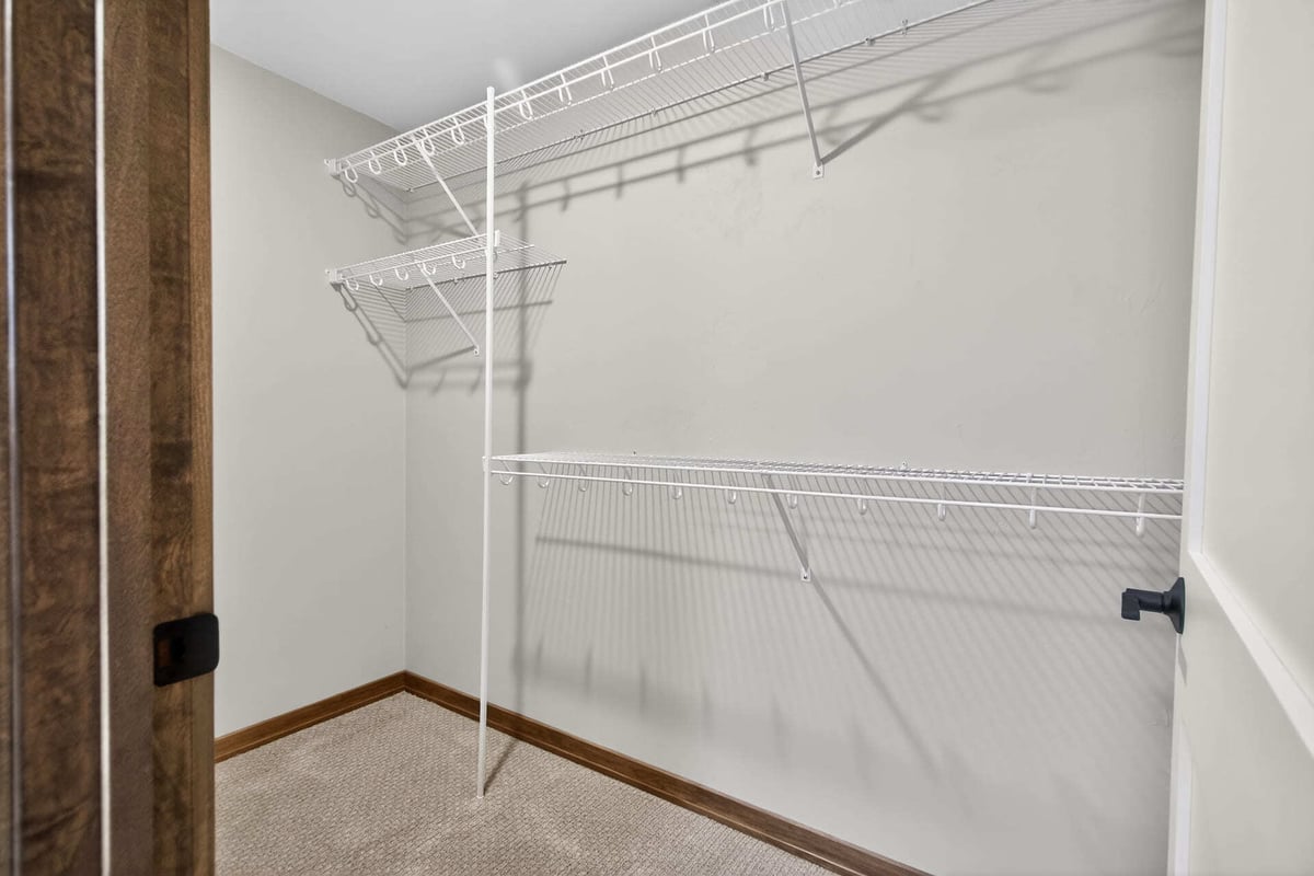 Lower Level Closet