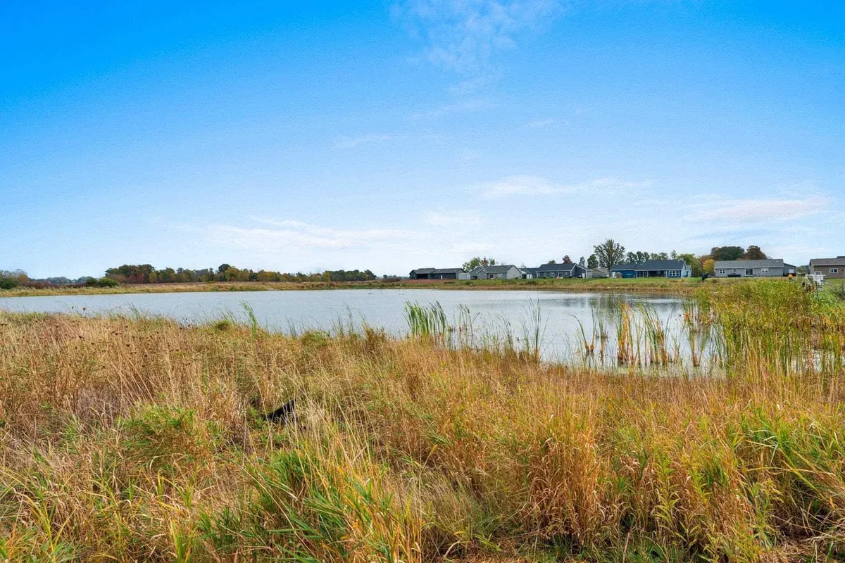Fox Cities backyard view featuring a tranquil pond surrounded by tall grasses and neighboring homes in the distance
