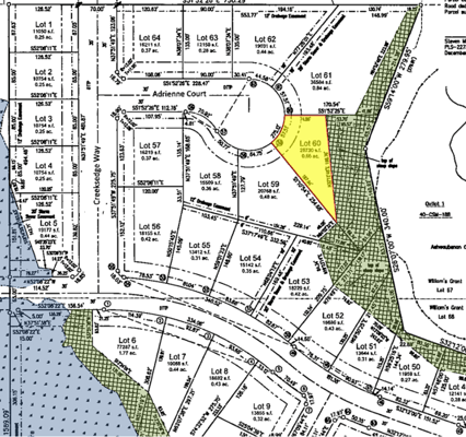 Adrienne ct close up