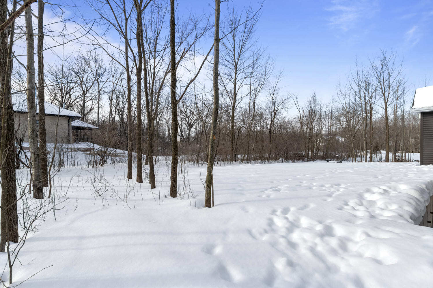 Snow-covered wooded backyard view with neighboring homes visible in the Fox Cities on a clear winter day